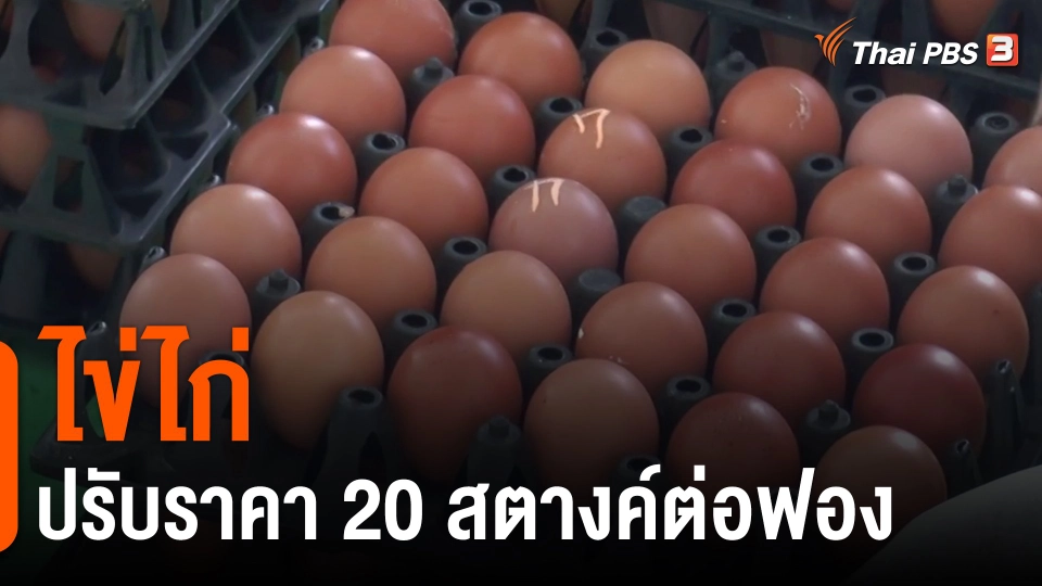 กินอยู่รู้รอบ : ไข่ไก่ปรับราคา 20 สตางค์ต่อฟอง