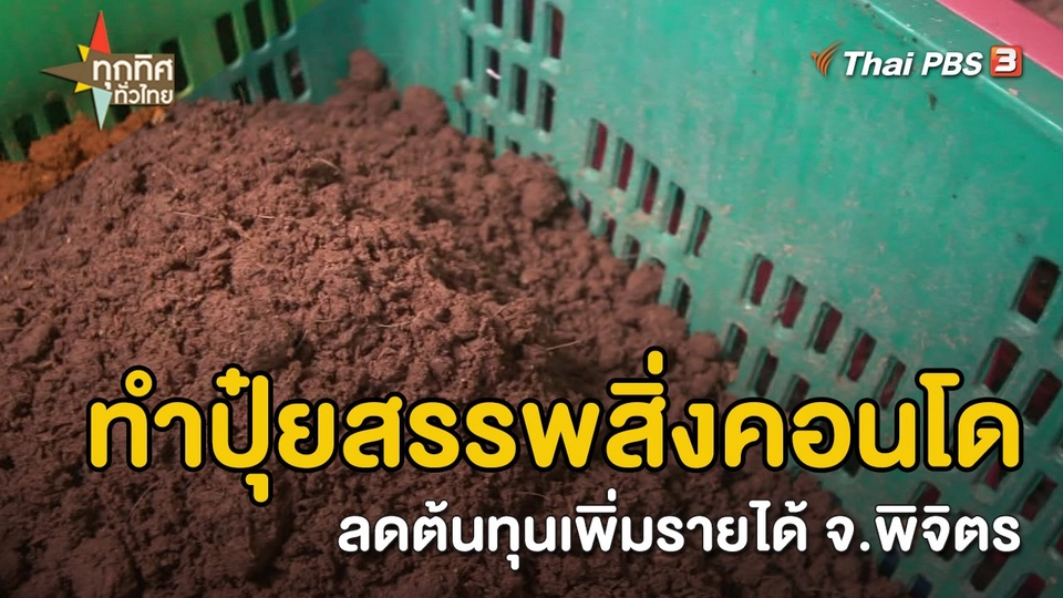 วิถีทั่วไทย : ทำปุ๋ยสรรพสิ่งคอนโด ลดต้นทุนเพิ่มรายได้ จ.พิจิตร