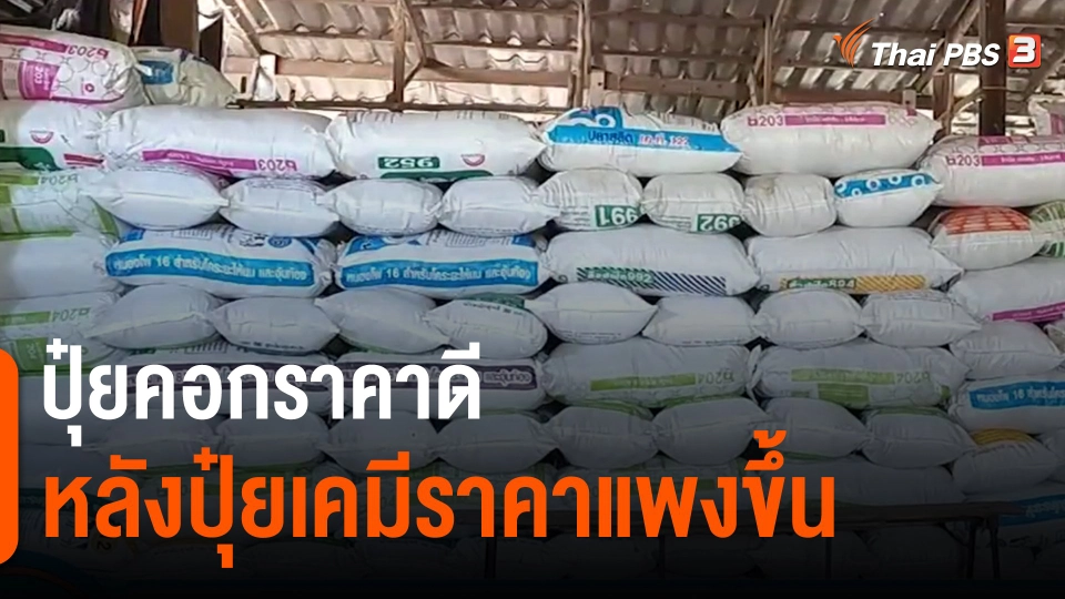 กินอยู่รู้รอบ : ปุ๋ยคอกราคาดีหลังปุ๋ยเคมีราคาแพงขึ้น