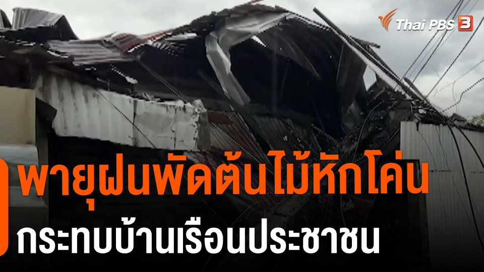 พายุฝนพัดต้นไม้หักโค่นกระทบบ้านเรือนประชาชน