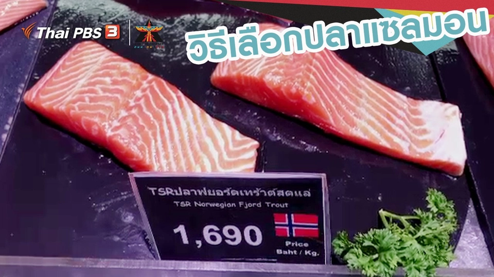 เรื่องเล่าการเดินทาง : วิธีเลือกปลาแซลมอน