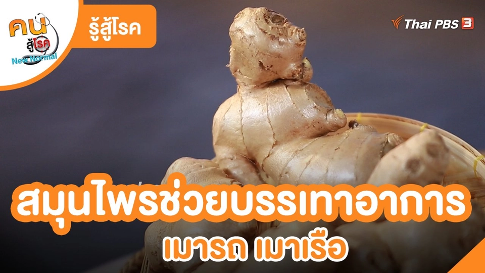 รู้สู้โรค : สมุนไพรช่วยบรรเทาอาการ เมารถ เมาเรือ