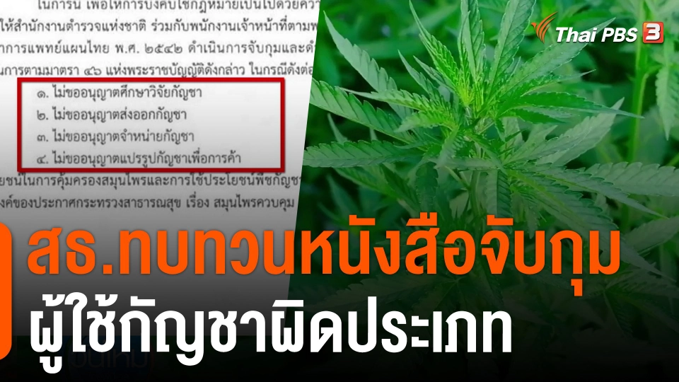 สธ.ทบทวนหนังสือจับกุมผู้ใช้กัญชาผิดประเภท