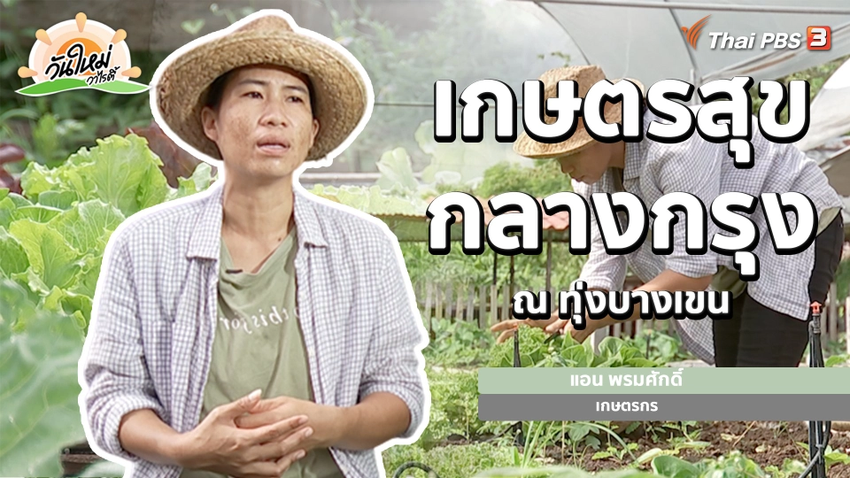 ​พอดีพอเพียง : เกษตรสุขกลางกรุง ณ ทุ่งบางเขน