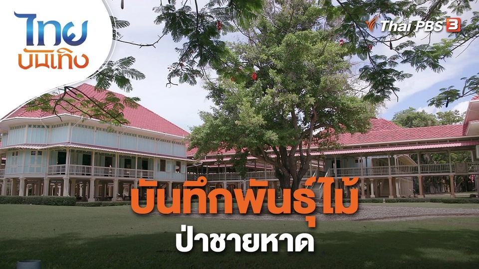 ​เรื่องนี้มีตำนาน : บันทึกพันธุ์ไม้ป่าชายหาด