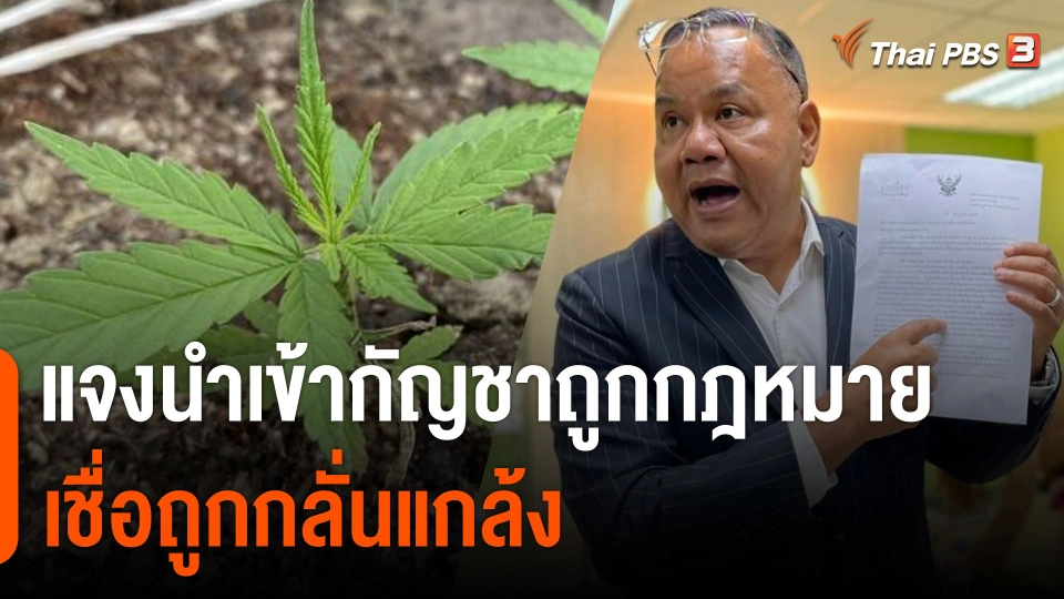 "ทอม เครือโสภณ" แจงนำเข้ากัญชาถูกกฎหมาย เชื่อถูกกลั่นแกล้ง