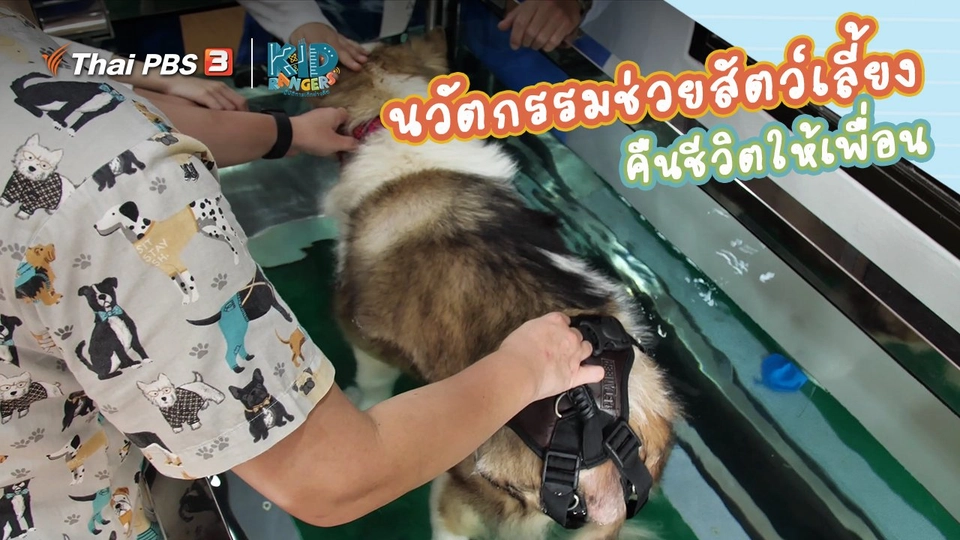 ​คิดส์เรียนรู้ : “นวัตกรรมการช่วยเหลือสัตว์เลี้ยง” คืนชีวิตให้เพื่อน