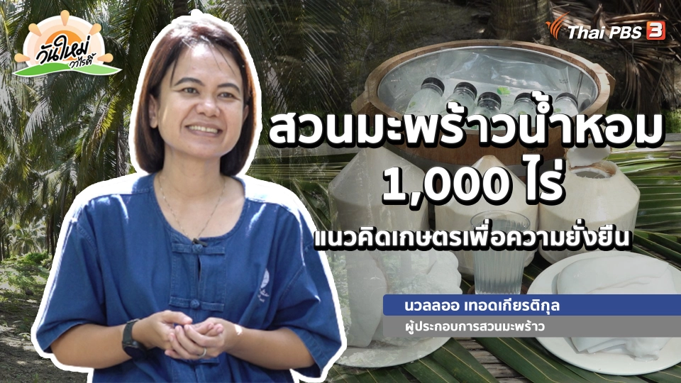 ​พอดีพอเพียง : สวนมะพร้าวน้ำหอม 1,000 ไร่ แนวคิดเกษตรเพื่อความยั่งยืน