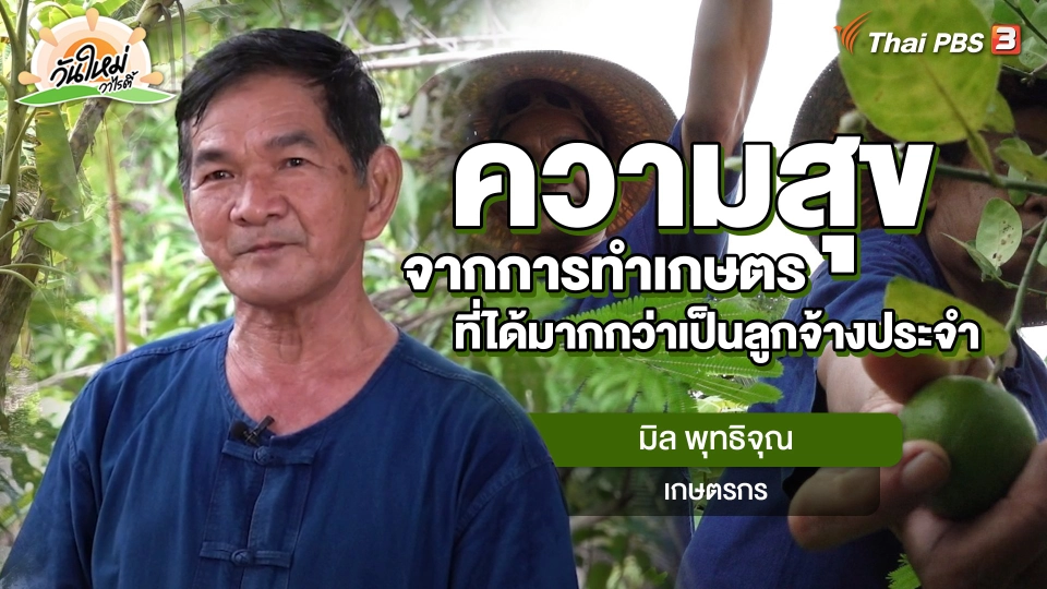 พอดีพอเพียง : ความสุขจากการทำเกษตรที่ได้มากกว่าเป็นลูกจ้างประจำ