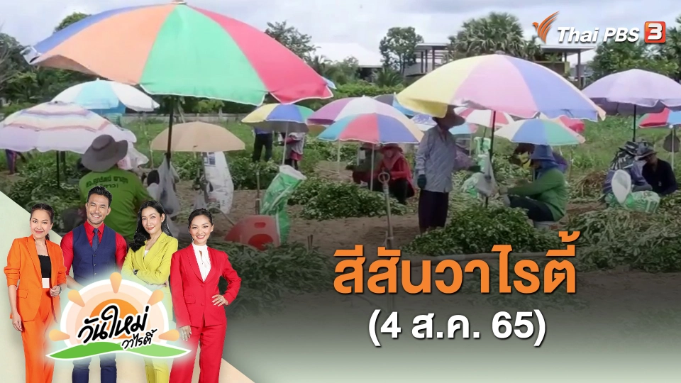 ​สีสันวาไรตี้ (4 ส.ค. 65)