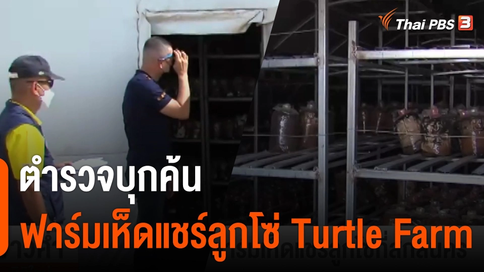 ตำรวจบุกค้นฟาร์มเห็ดแชร์ลูกโซ่ Turtle Farm จ.สกลนคร