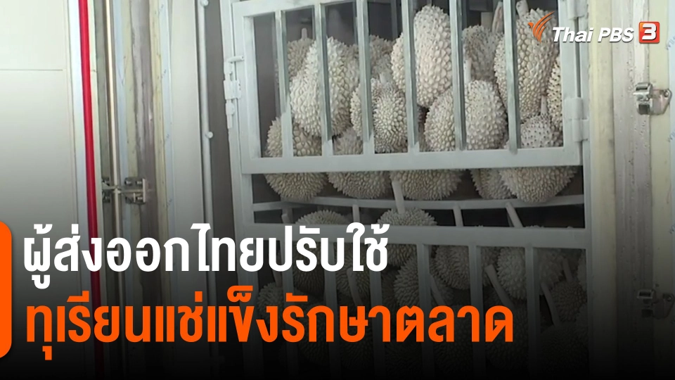 ​กิน อยู่ รู้ รอบ : ผู้ส่งออกไทยปรับใช้ทุเรียนแช่แข็งรักษาตลาด