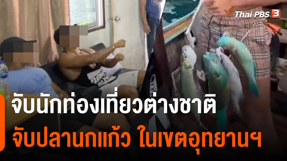 จับนักท่องเที่ยวต่างชาติ จับปลานกแก้ว ในเขตอุทยานฯ จ.กระบี่