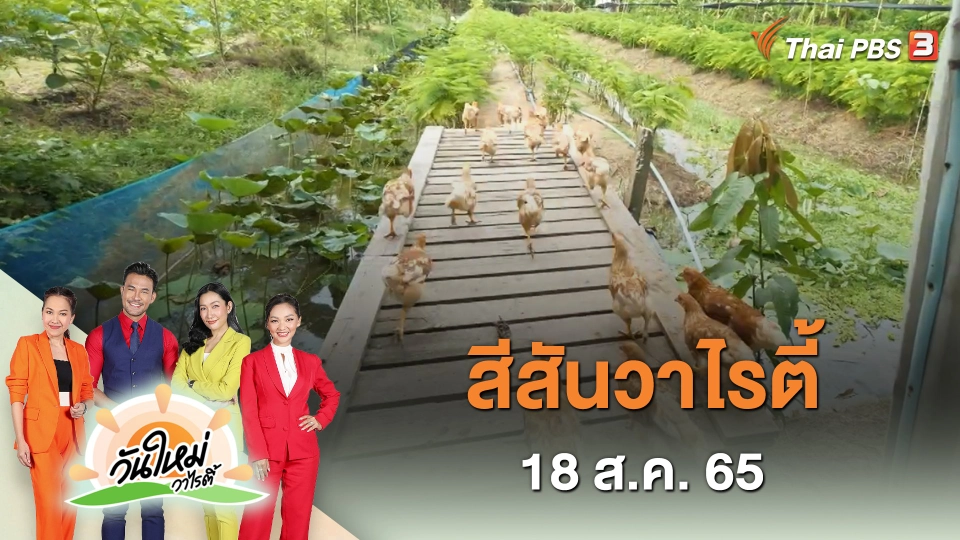 สีสันวาไรตี้ (18 ส.ค. 65)