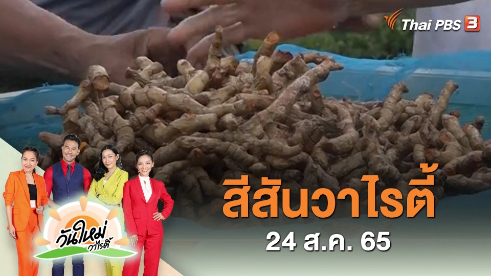 สีสันวาไรตี้ (24 ส.ค. 65)