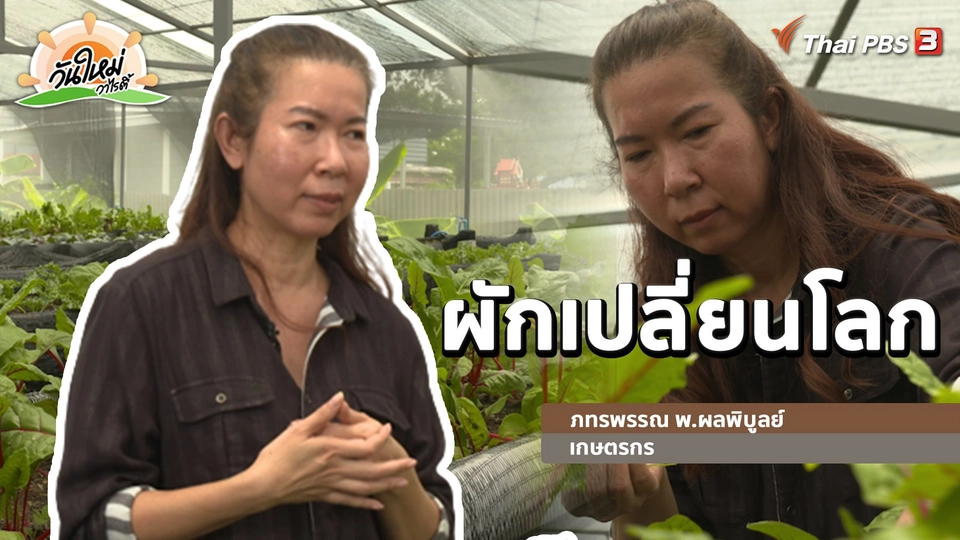 พอดีพอเพียง : ผักเปลี่ยนโลก(โรค)