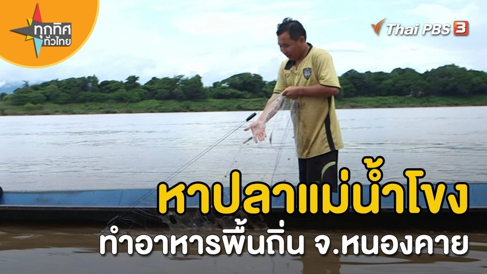 ​วิถีทั่วไทย : หาปลาแม่น้ำโขงทำอาหารพื้นถิ่น จ.หนองคาย