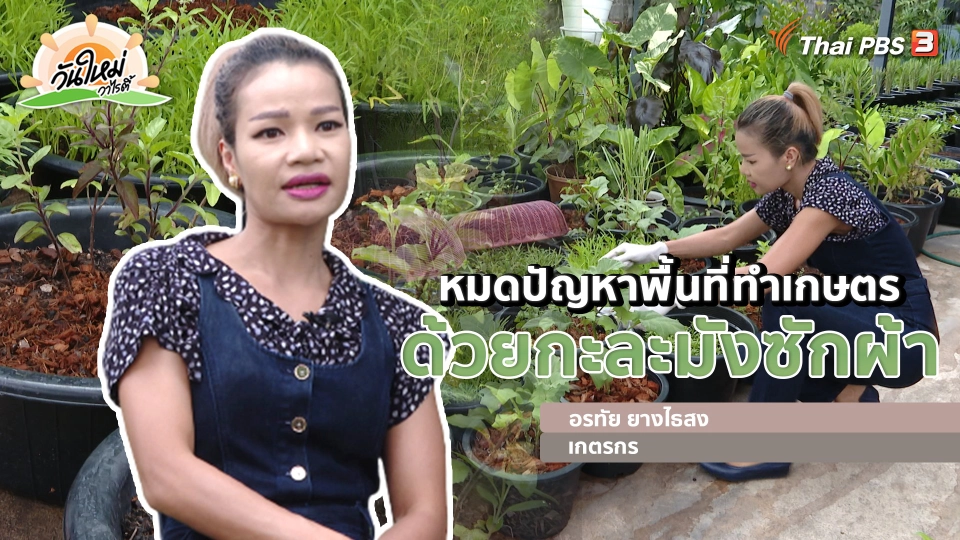 ​พอดีพอเพียง : หมดปัญหาพื่นที่ทำเกษตรด้วย "กะละมังซักผ้า"