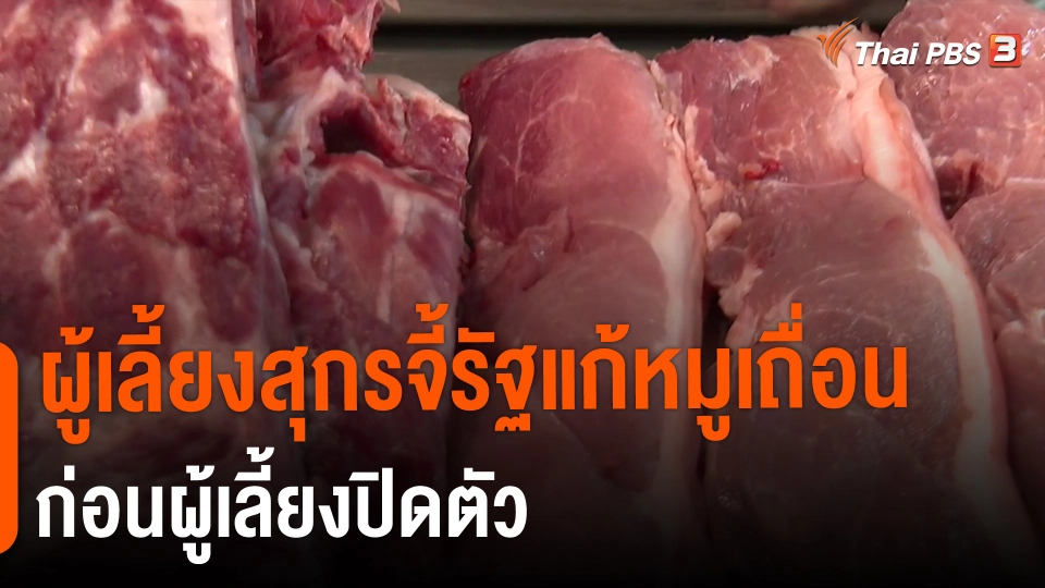 ​กินอยู่รู้รอบ : ผู้เลี้ยงสุกรจี้รัฐแก้หมูเถื่อนก่อนผู้เลี้ยงปิดตัว