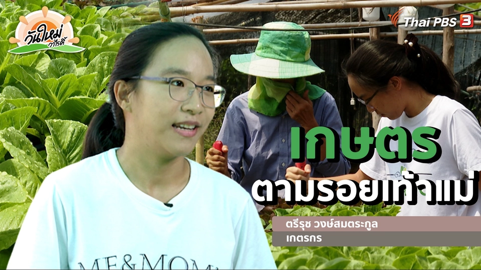 ​พอดีพอเพียง : เกษตรตามรอยเท้าแม่