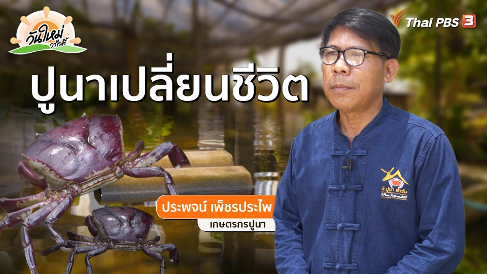 ​พอดีพอเพียง : "ปูนา" เปลี่ยนชีวิต