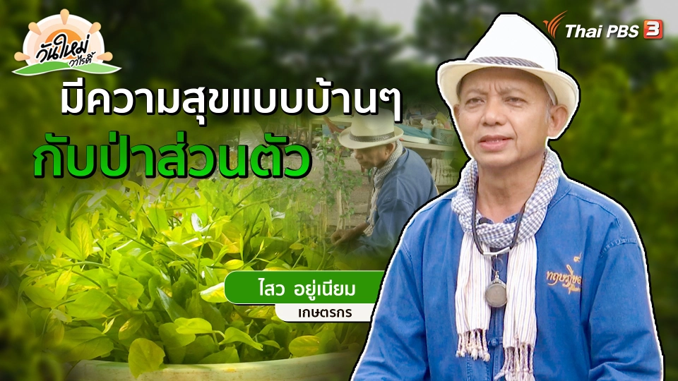 ​พอดีพอเพียง : ความสุขแบบบ้าน ๆ กับป่าส่วนตัว