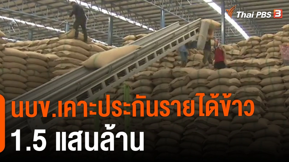 ​กินอยู่รู้รอบ : นบข.เคาะประกันรายได้ข้าว 1.5 แสนล้าน