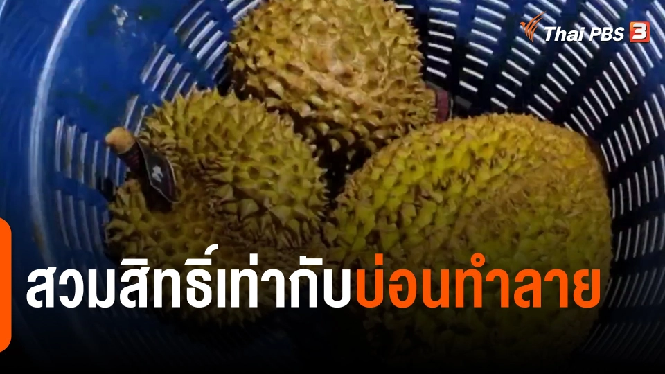 จับสัญญาณเศรษฐกิจ : "สวมสิทธิ์เท่ากับบ่อนทำลาย"