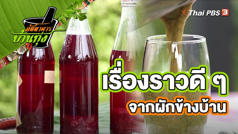 คลิปบ้านทุ่ง : เรื่องราวดี ๆ จากผักข้างบ้าน