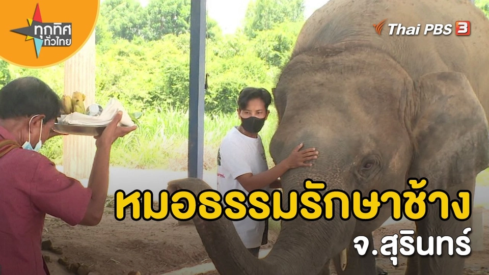 อาชีพทั่วไทย : หมอธรรมรักษาช้าง จ.สุรินทร์