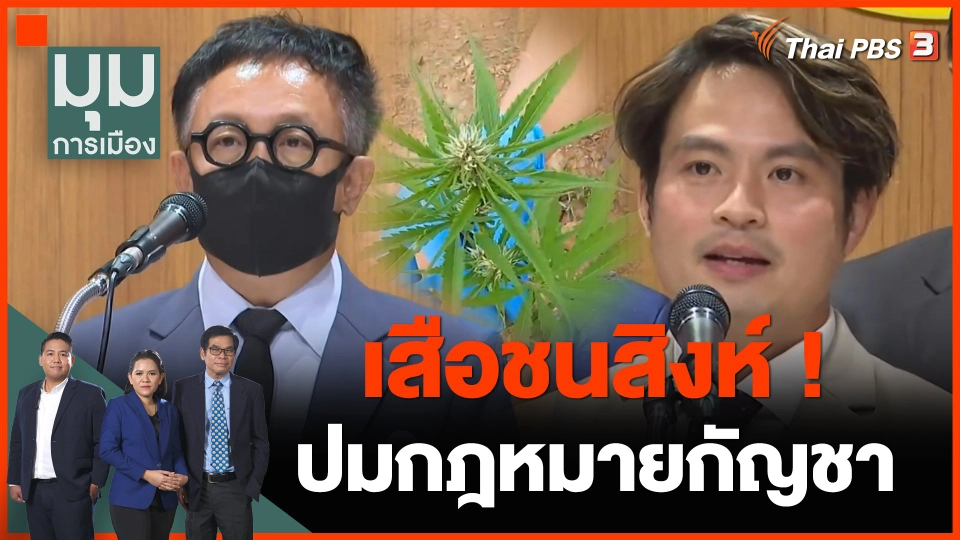เสือชนสิงห์ ! ปมกฎหมายกัญชา
