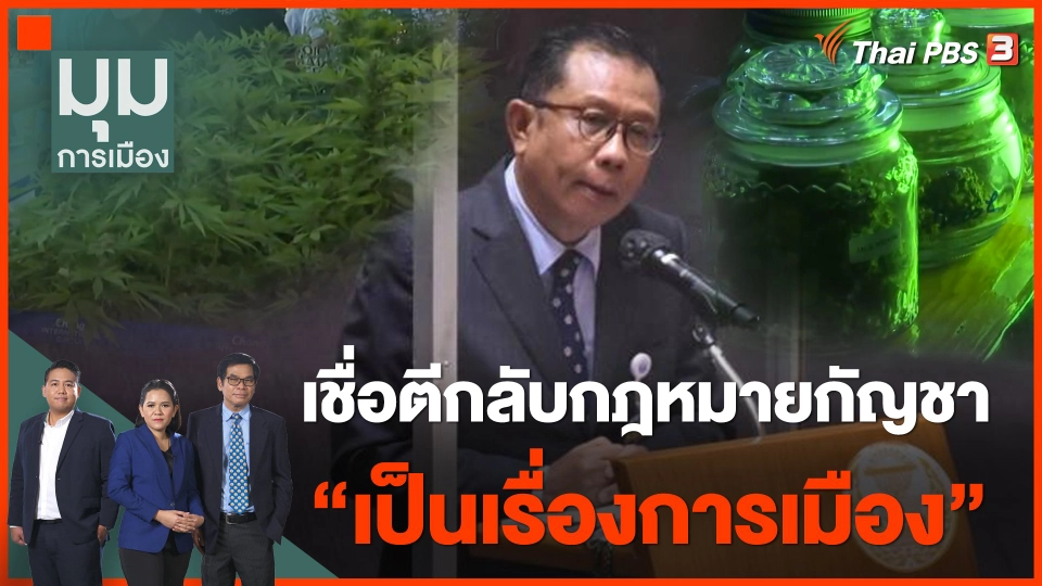 ฟังที่แรก "ศุภชัย" เดือด ! ตีกลับกฎหมายกัญชา เชื่อ "เป็นเรื่องการเมือง"