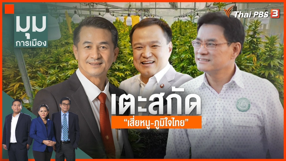 "ตีกลับกฎหมายกัญชา" เตะสกัด "เสี่ยหนู - ภูมิใจไทย"