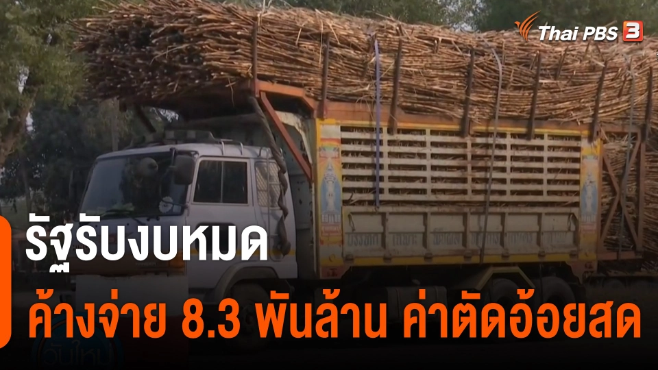 กินอยู่รู้รอบ : รัฐรับงบหมด ค้างจ่ายค่าตัดอ้อยสด 8,300 ล้านบาท