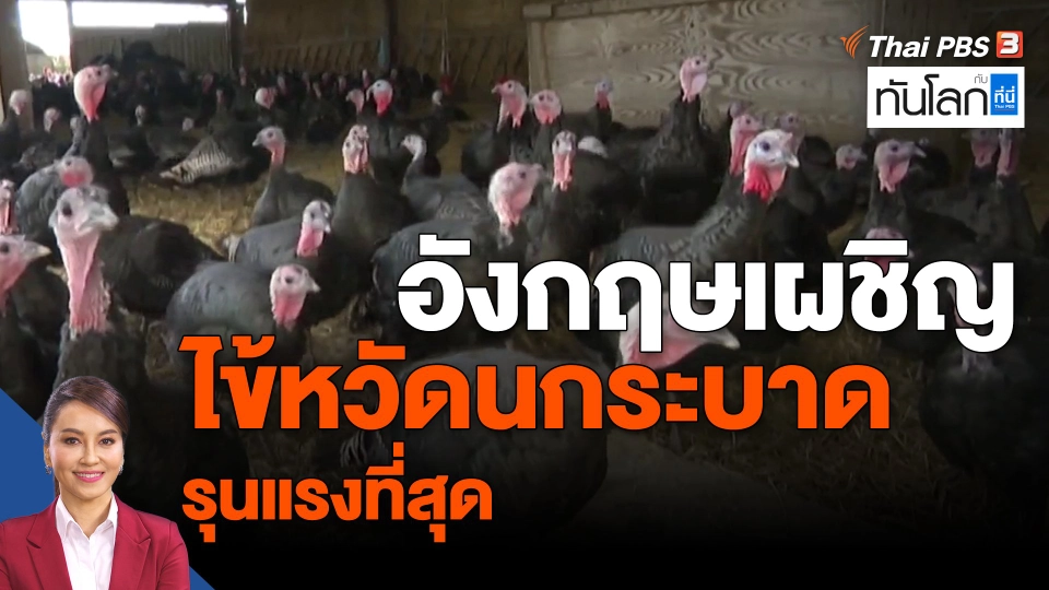 ​อังกฤษเผชิญไข้หวัดนกระบาดรุนแรงที่สุด