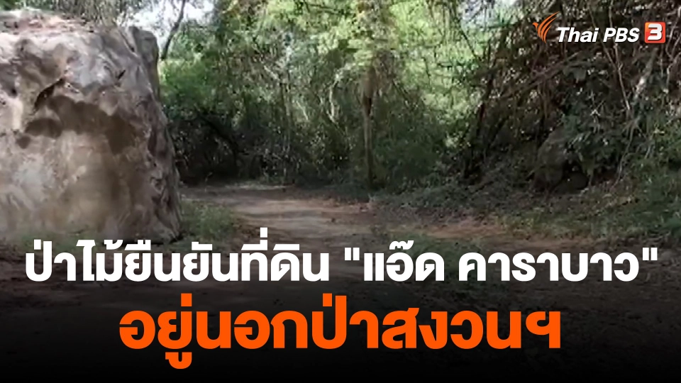 ป่าไม้ยืนยันที่ดิน "แอ๊ด คาราบาว" อยู่นอกป่าสงวนฯ