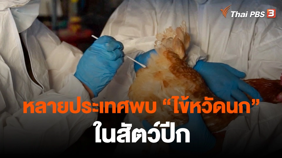​หลายประเทศพบ "ไข้หวัดนก" ในสัตว์ปีก