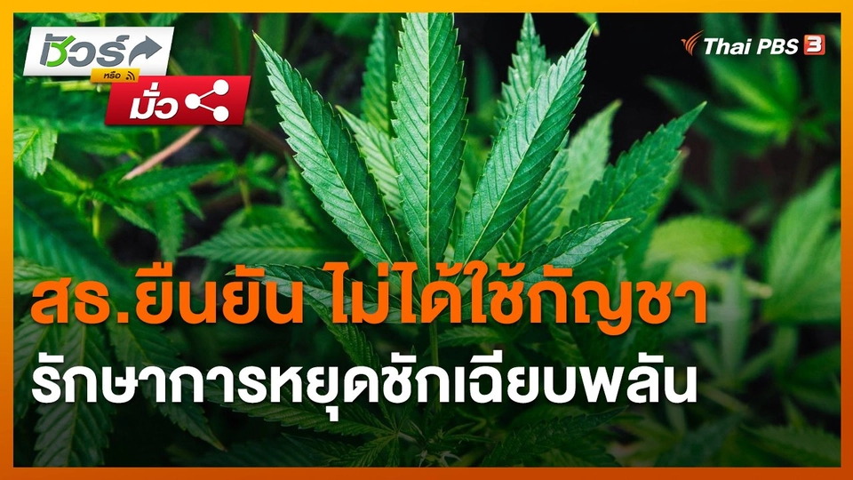 ​ชัวร์หรือมั่ว : สธ.ยืนยัน ไม่ได้ใช้กัญชารักษาการหยุดชักเฉียบพลัน