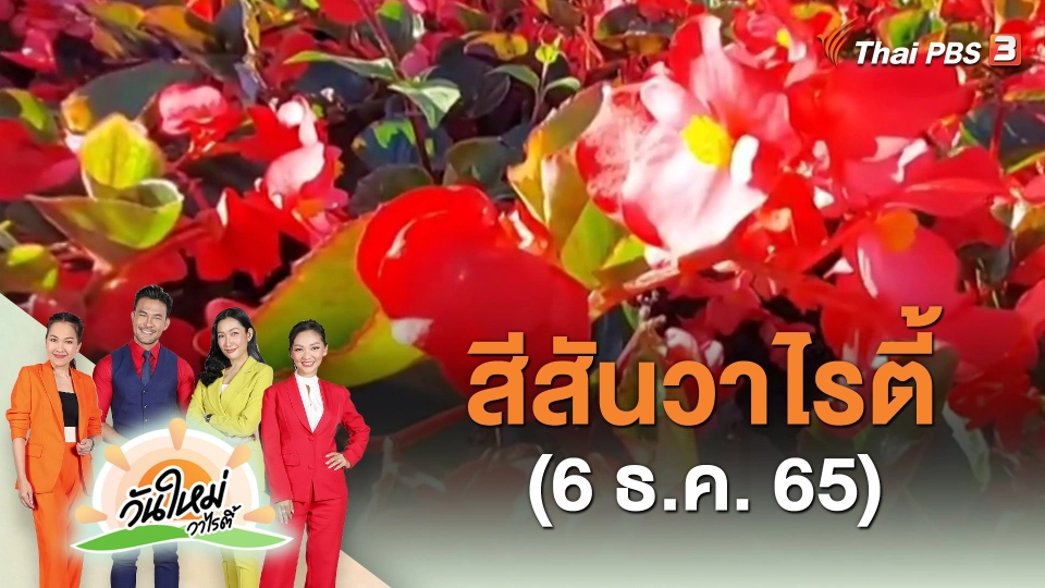 ​สีสันวาไรตี้ (6 ธ.ค. 65)