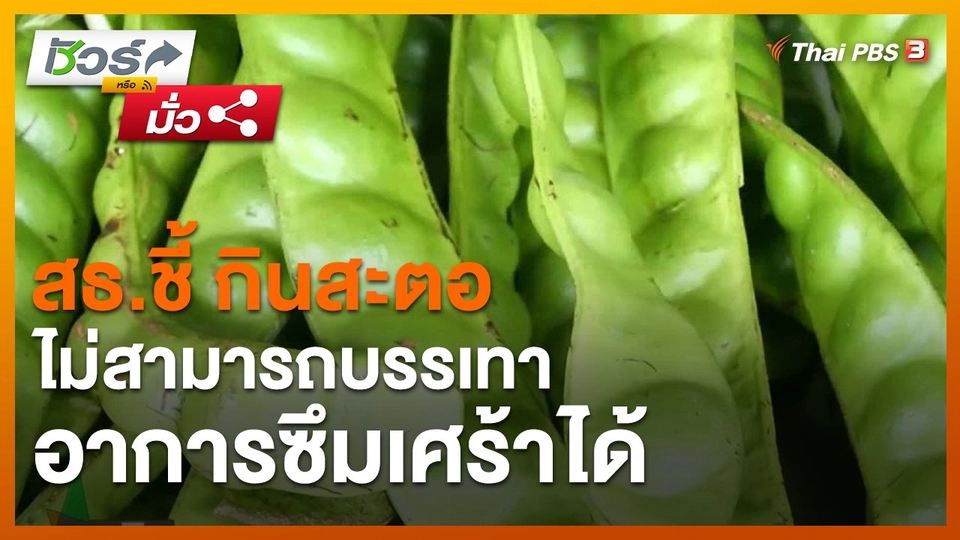 ​ชัวร์หรือมั่ว : สธ.ชี้ กินสะตอไม่สามารถบรรเทาอาการซึมเศร้าได้