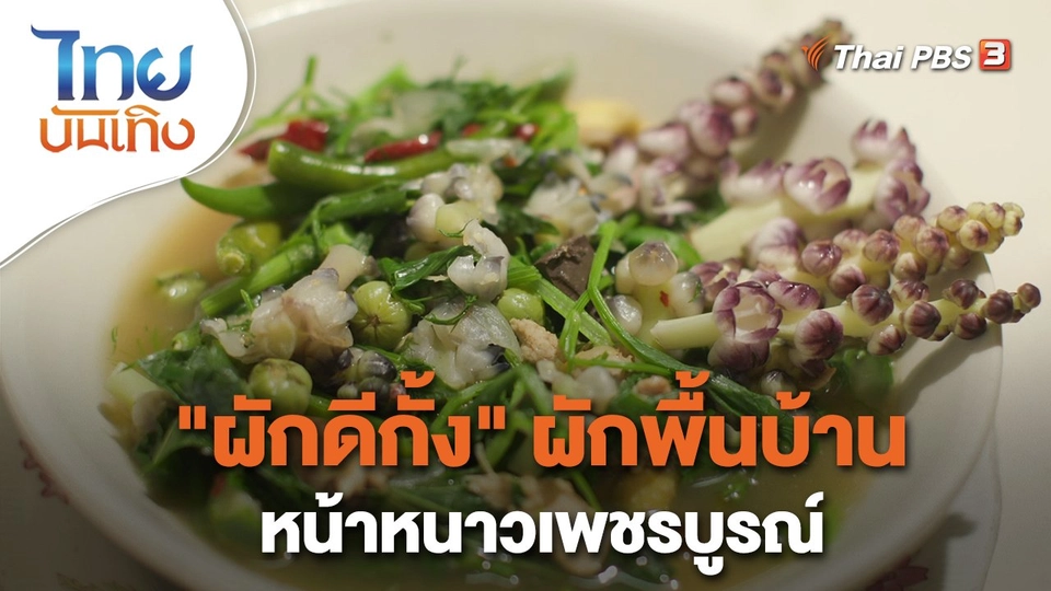 ​อิ่มมนต์รส : "ผักดีกั้ง" ผักพื้นบ้านหน้าหนาวเพชรบูรณ์