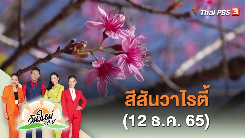สีสันวาไรตี้ (12 ธ.ค. 65)