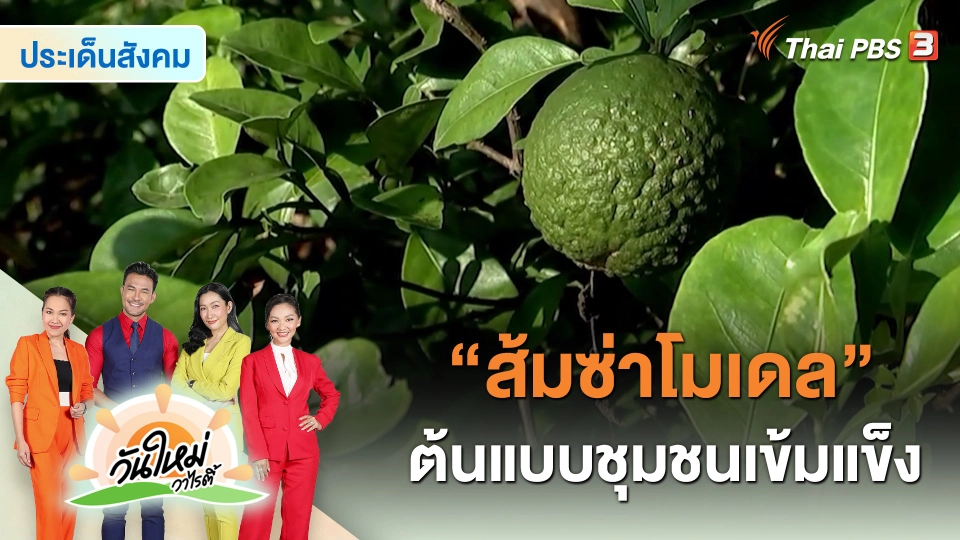 ประเด็นสังคม : "ส้มซ่าโมเดล" ต้นแบบชุมชนเข้มแข็ง