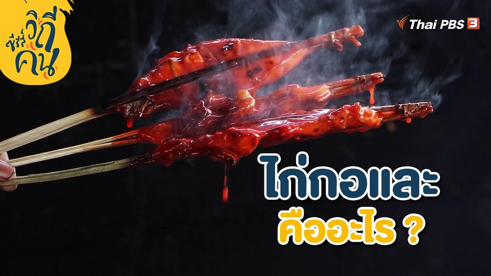 "ไก่กอและ" คืออะไร ?