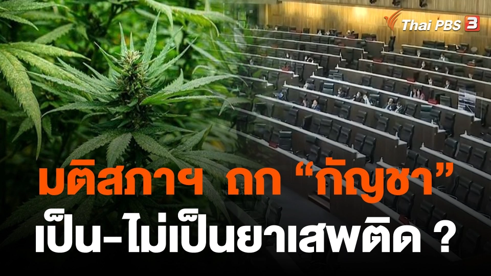 มติสภาฯ "กัญชา" ตามร่างกฎหมายไม่ระบุสถานะ