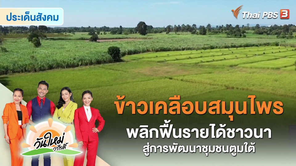 ​ประเด็นสังคม : ข้าวเคลือบสมุนไพร พลิกฟื้นรายได้ชาวนาสู่การพัฒนาชุมชนตูมใต้