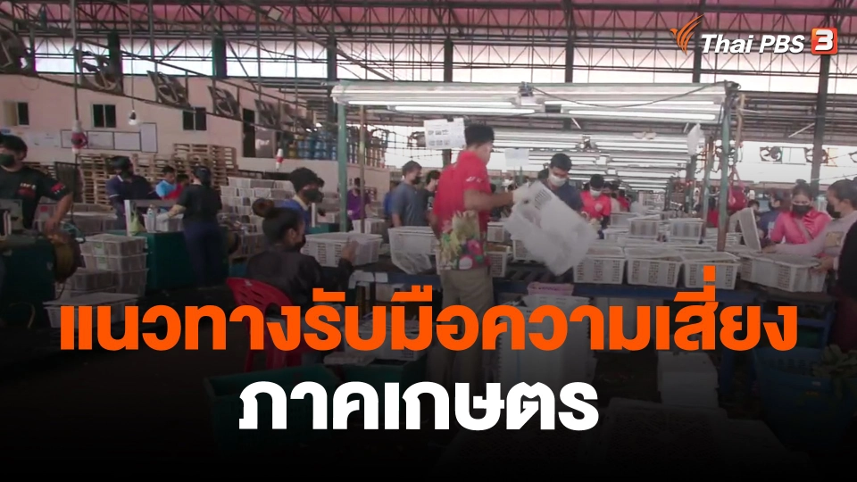 ​จับสัญญาณเศรษฐกิจ : แนวทางรับมือความเสี่ยงภาคเกษตร