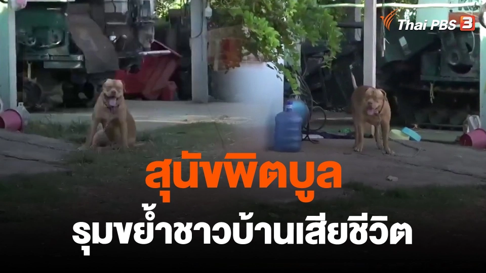​สุนัขพิตบูล รุมขย้ำชาวบ้านเสียชีวิต