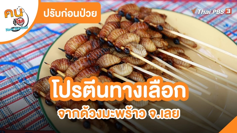 ปรับก่อนป่วย : โปรตีนทางเลือกจากด้วงมะพร้าว จ.เลย