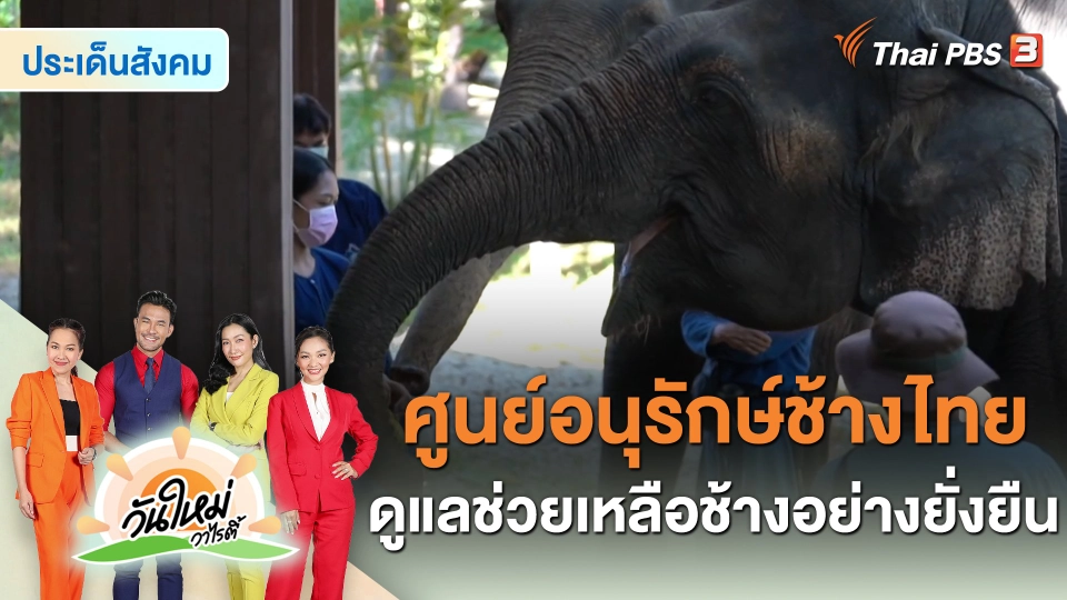 ประเด็นสังคม : ศูนย์อนุรักษ์ช้างไทย ดูแลช่วยเหลือช้างอย่างยั่งยืน